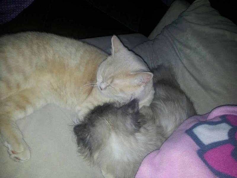 560577 306925456055174 1920391243 n