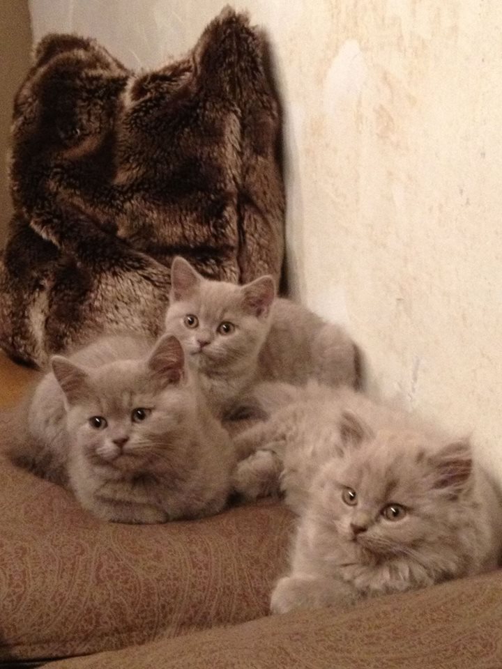 580432 132527063617552 599564583 n