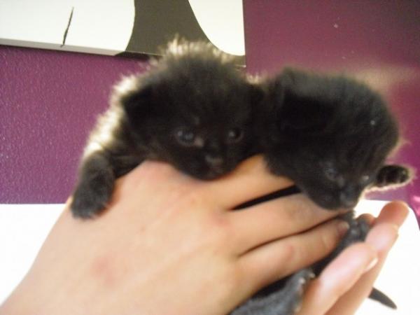 a19a0nez69tatjmoaip4g4lhg9j