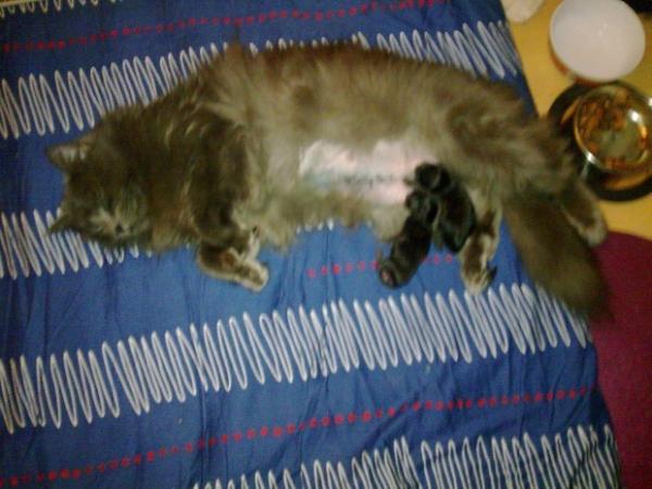 a7hk9xzb8rrcvuc93h2ai482mw5