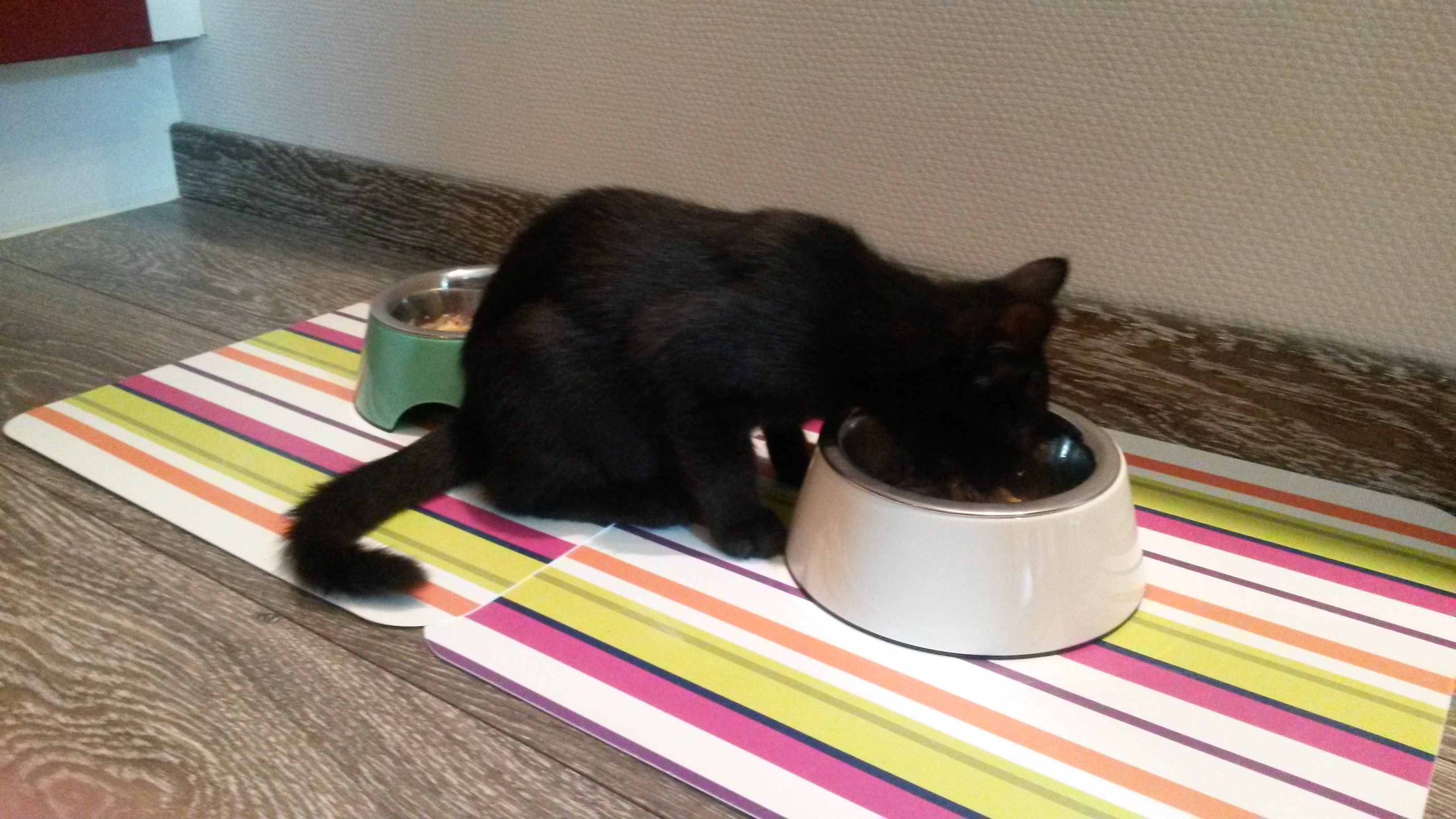 aber es schmeckte ihm....also beschloss er zu bleiben