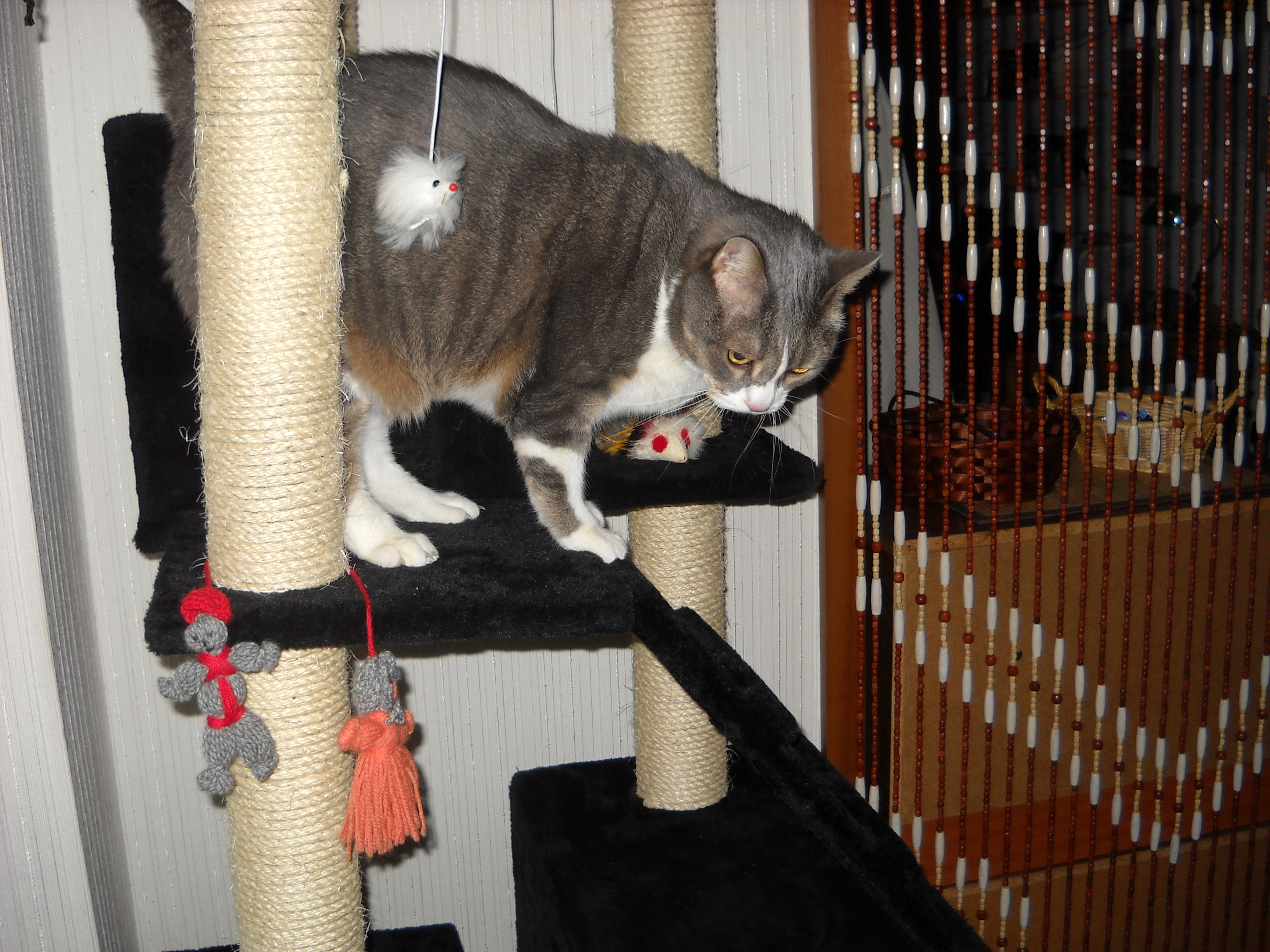 ach, oben ists zu öde