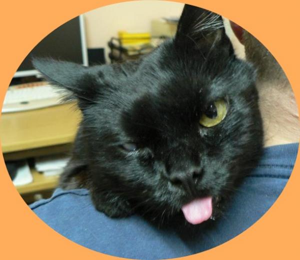 Ätsch bin auch hier...