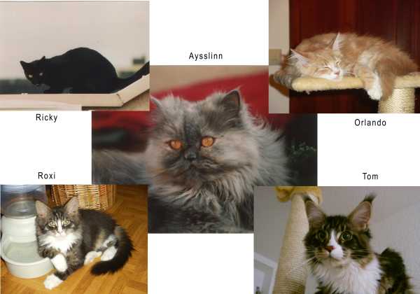 Alle meine Lieblinge