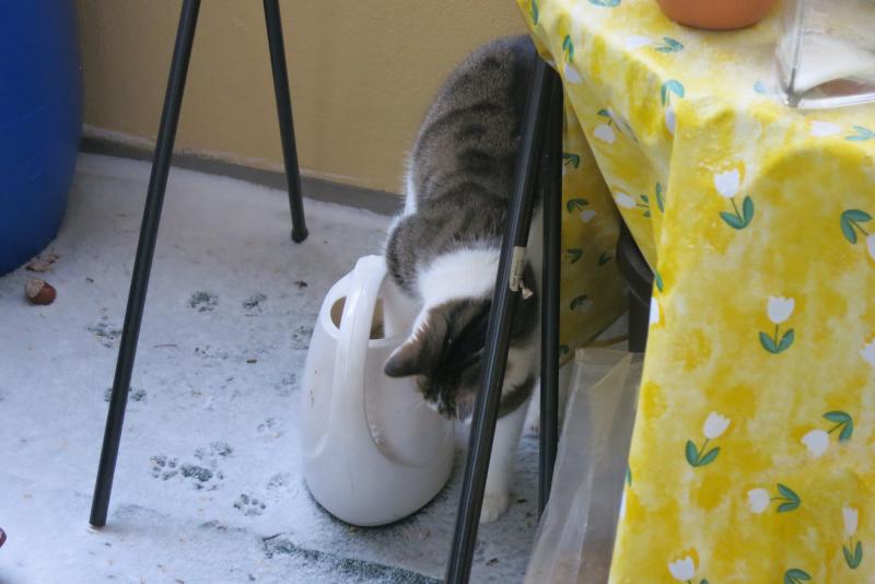 Alles beschnuppern , es gibt soviel zu entdecken