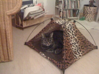 alles klar bei Dir ????