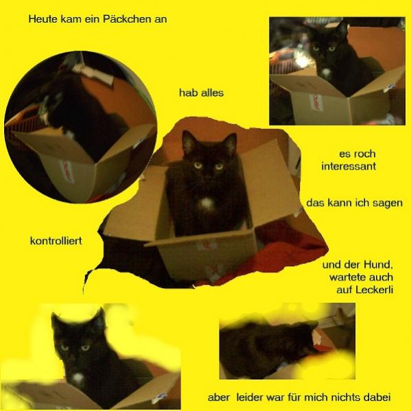 Als ein Päckchen kam, und ich die Papiere daraus entnehmen wollte, ging das nicht, dafür habe ich  paar Schnappschüsse gemacht, verschieden bearbeitet und daraus diese Collage gefertigt - ich bin jedoch kein Profi.