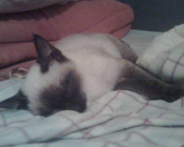 Also ich bin immer so müde weil ich den ganzen Tag mein Herli auf trap halte,