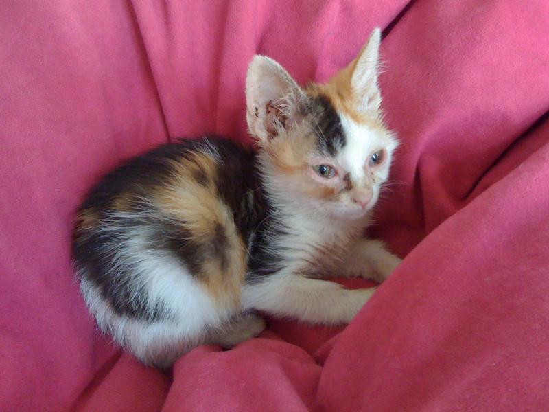 an dem tag als wir sie holten =/