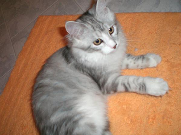 Angel mit 5,5 Monaten