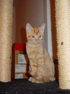 Arthur ist noch recht klein, wird aber bald schon wachsen-