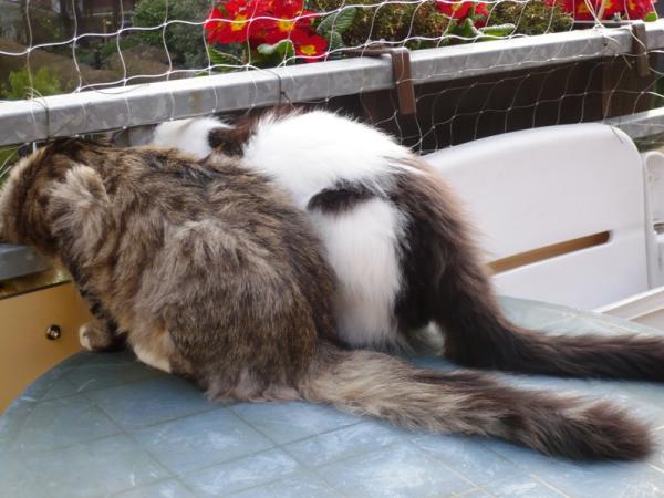 Auch ein Rücken kann entzücken!!