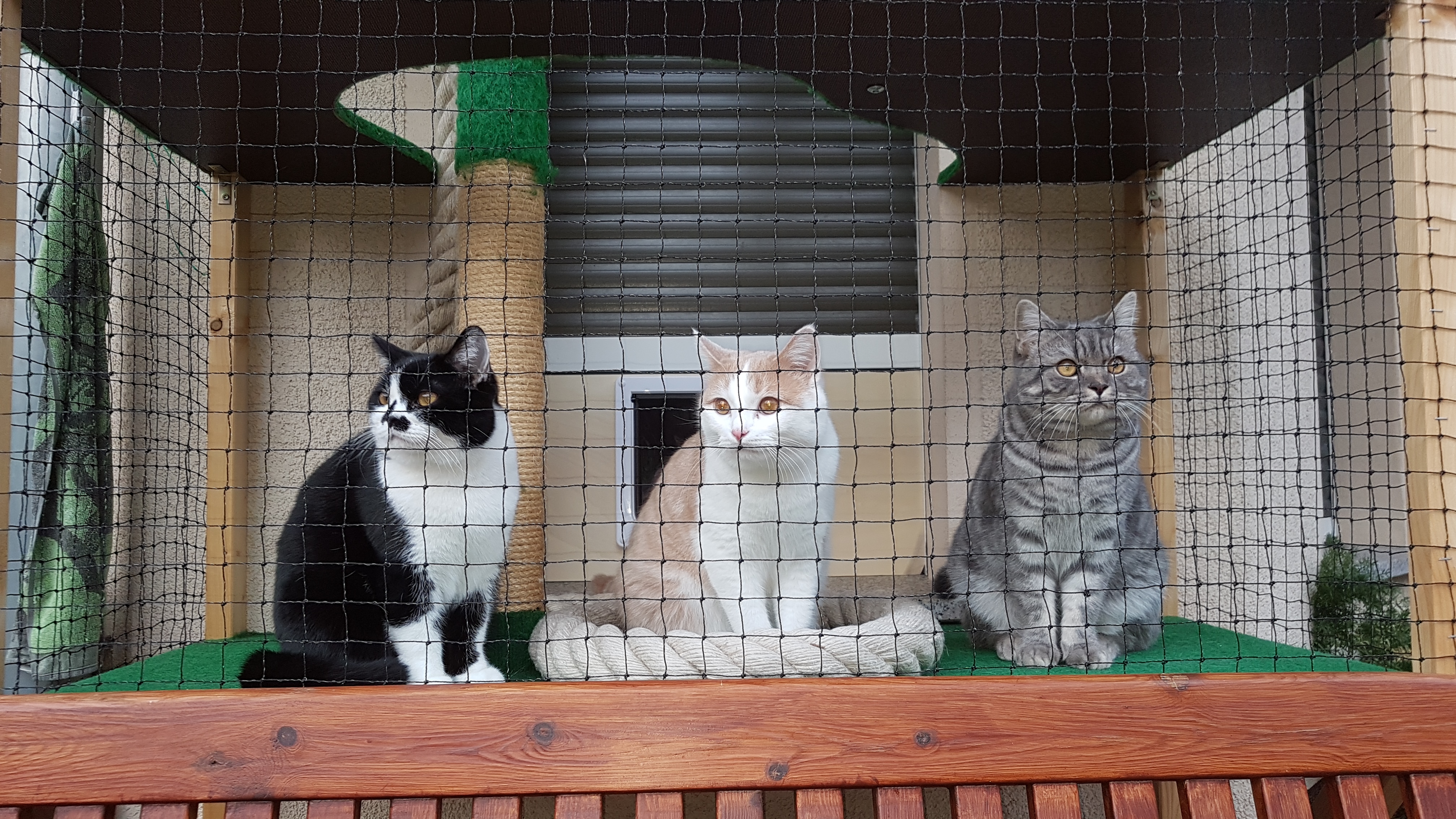 Auch im kalten Januar gibt es draußen was zu sehen!