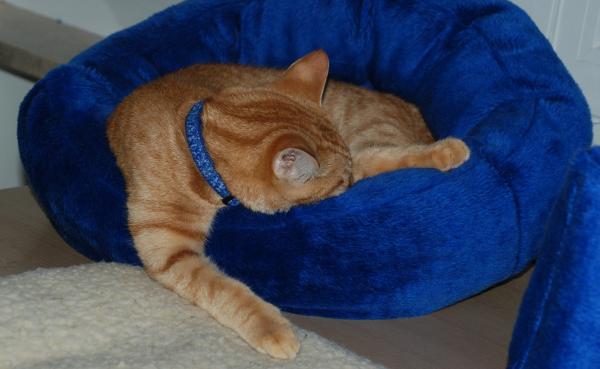 auch Papa sein macht müde :-)