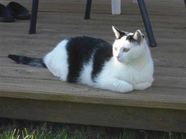 auf Beabachtungsposten