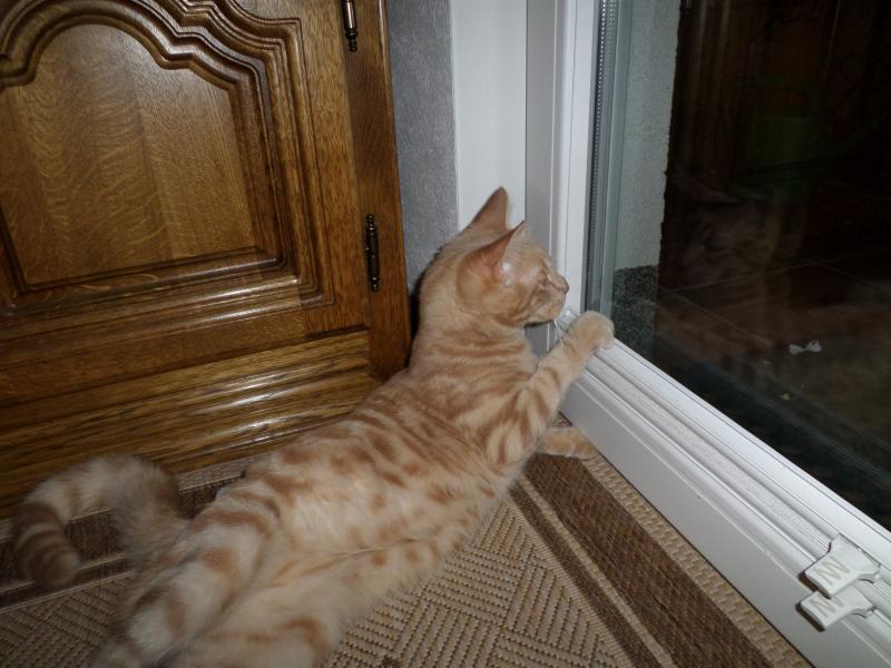 auf dem Balkon gibt es immer was zu entdecken