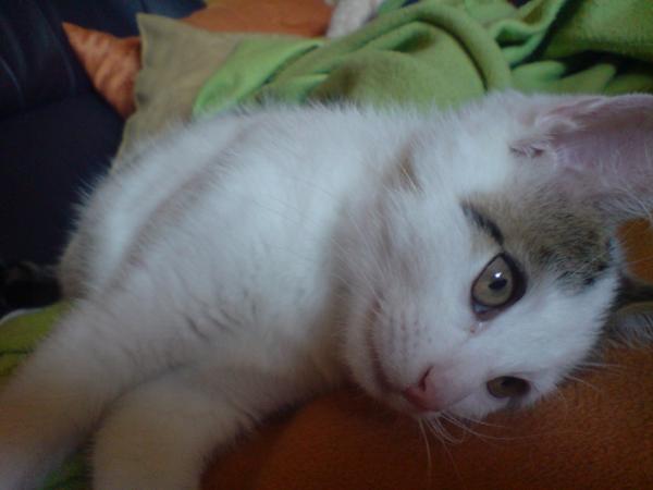 Auf dem Sofa beim ausruhen