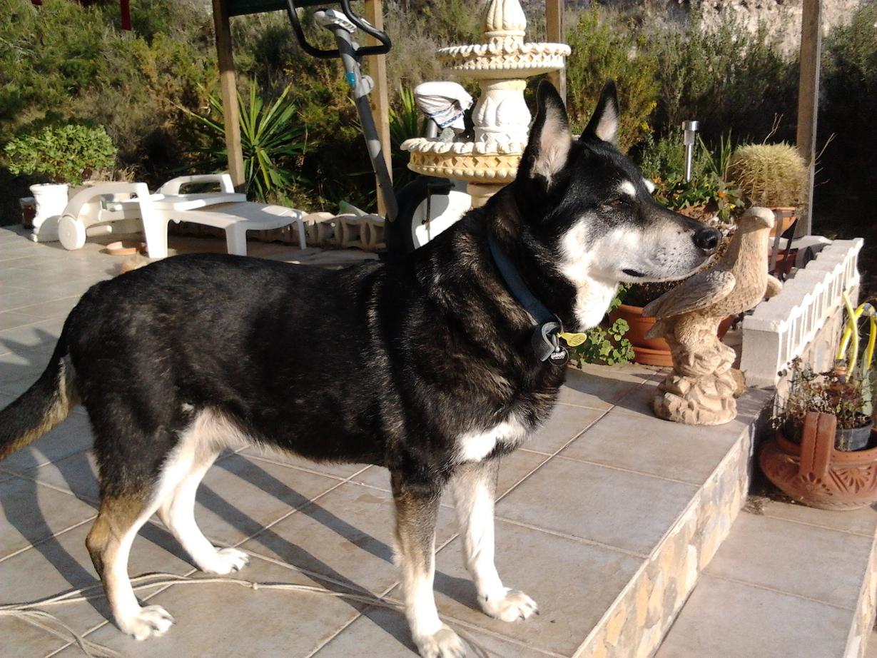 auf der Terrasse 2014 03 09 17.40.04f