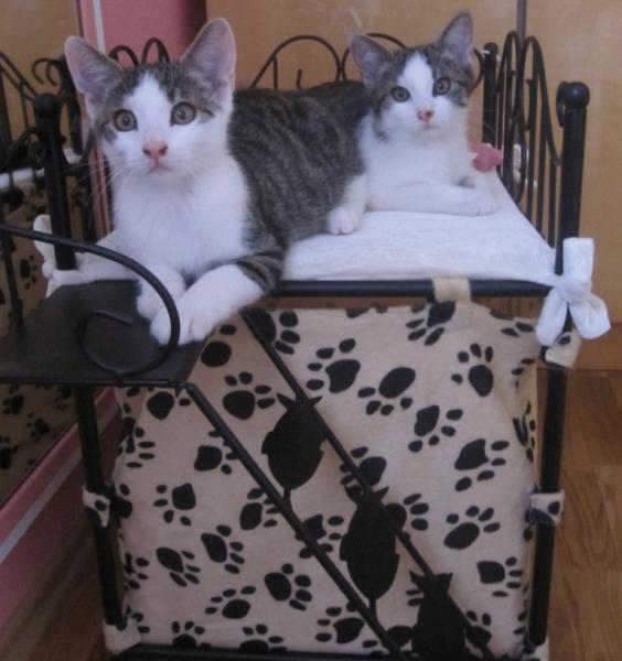 Auf unserem Thron - Balkon :)