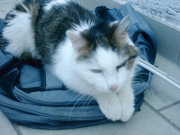 Aufnahme aud unserm Balkon heute um 10.41