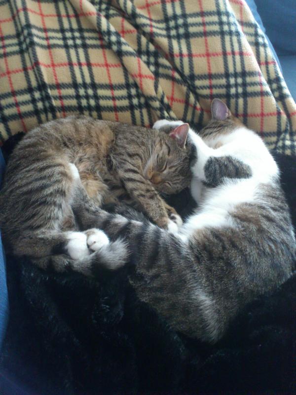 ausnahmsweise beide mal keinen unsinn im Kopf. Das is eins von vor zwei Wochen :)