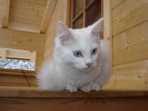 Aussichtsplatz auf dem Balkon