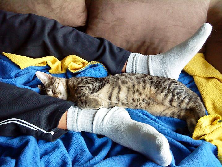 Baby-Anton schläft an Papa´s Stinkefüssen