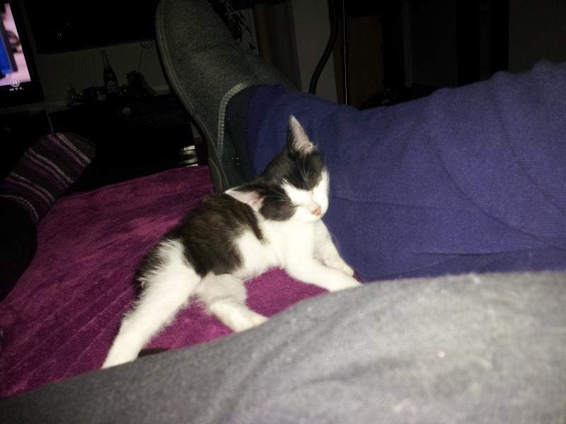 Baby noch ganz mini :(