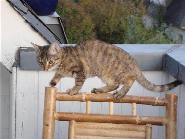 Balance-Akt alá Mietz