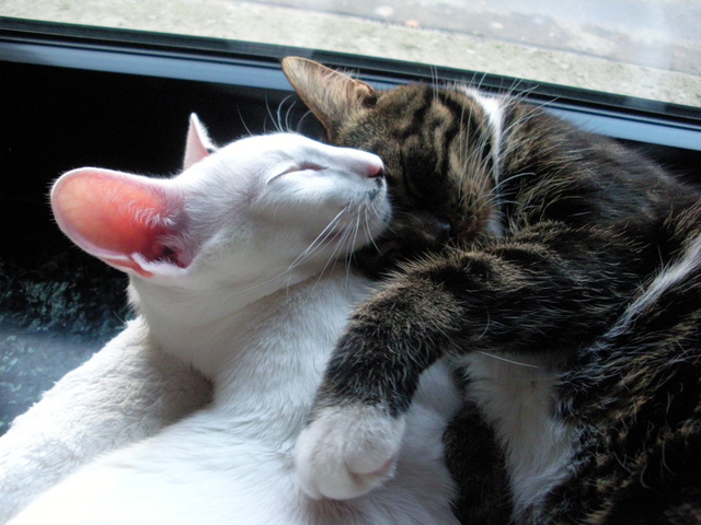 Banrchen &amp; Mücki