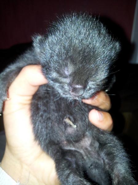 Barni unser 2. Geborener