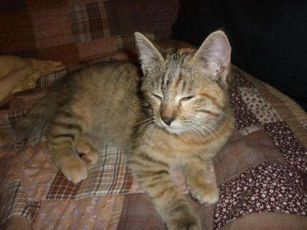 basteth als sie noch 2 monate alt war