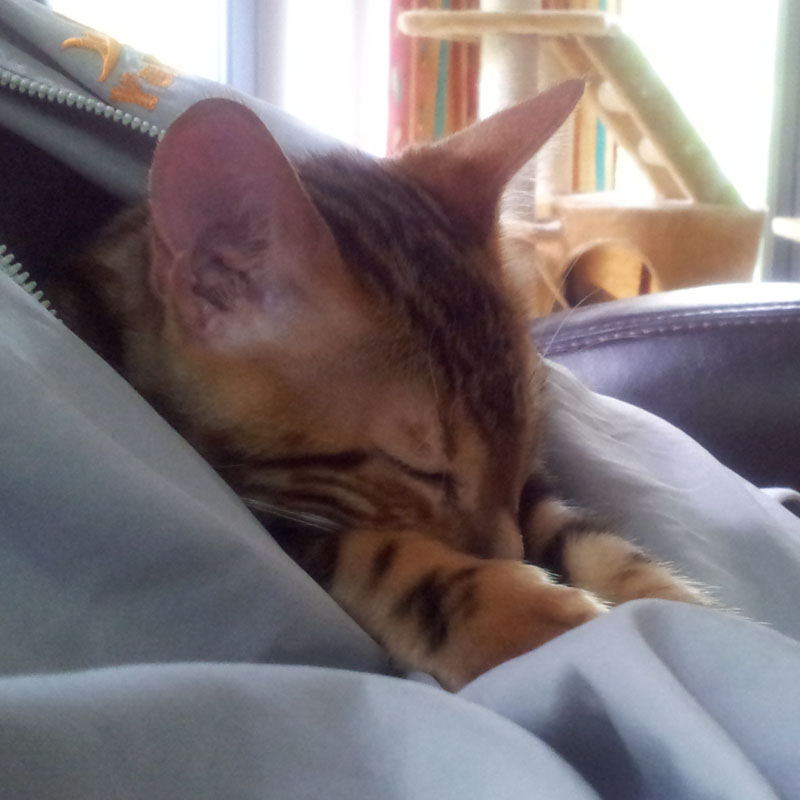 bei alex ist es am schönsten