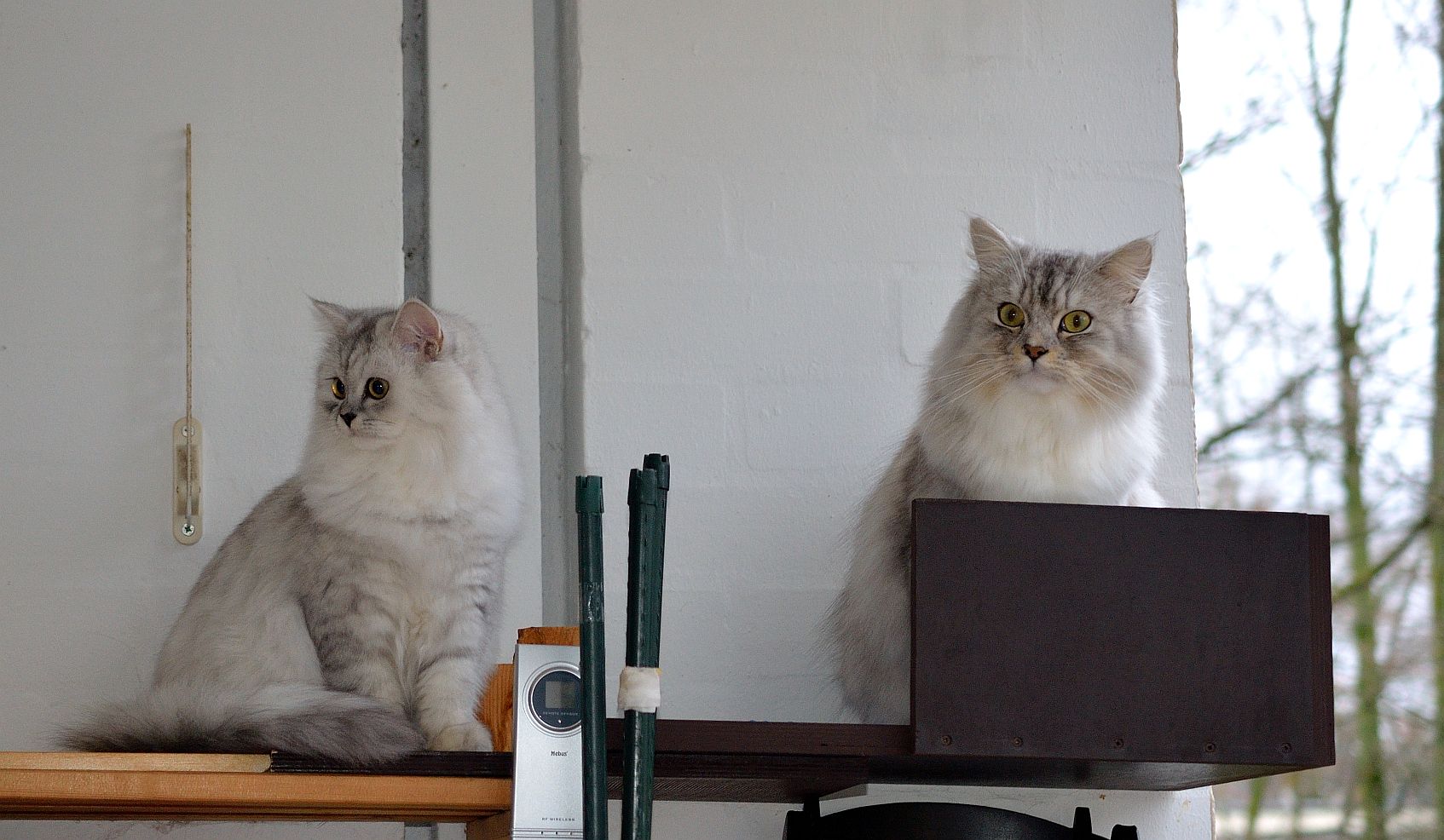 beide auf dem Hochsitz