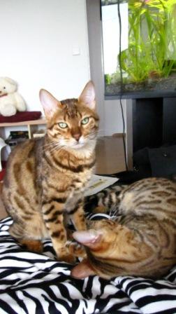 Beide auf der Couch beim Kuscheln