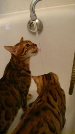 Beide in der Badewanne