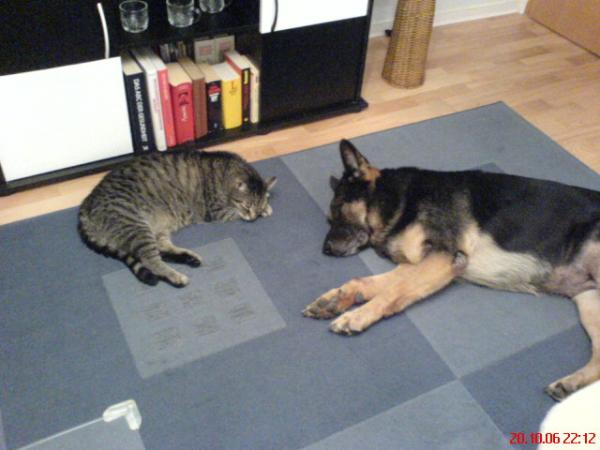 Beide sind nur 10 Jahre alt geworden!