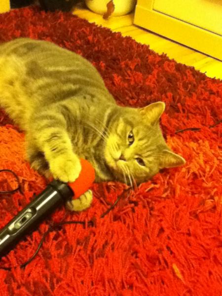 Beim 'Guitar Hero' spielen. :D