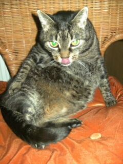 beim täglichen putzen