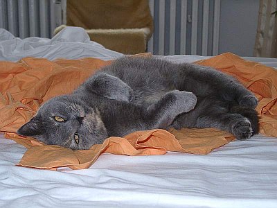 Bella ... sie wusste, welche Wirkung sie hatte  :-)