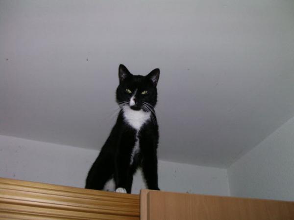 bild123001    verkleinert