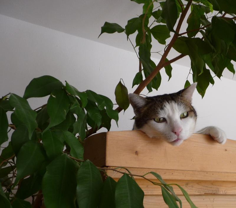 Bilder 31.08.12 064 zugeschnitten