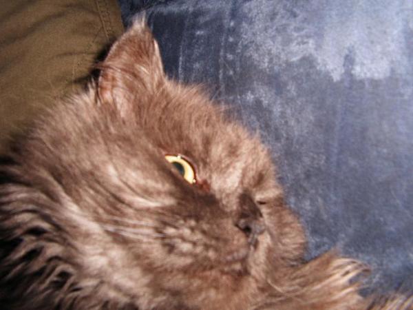 Bin ich nicht hübsch?