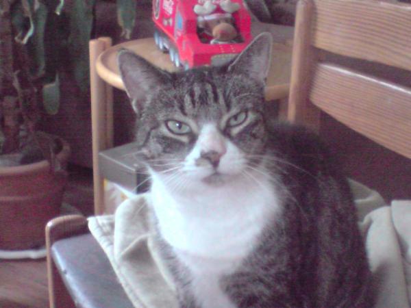 bin ich nicht schön?? (K.C.)