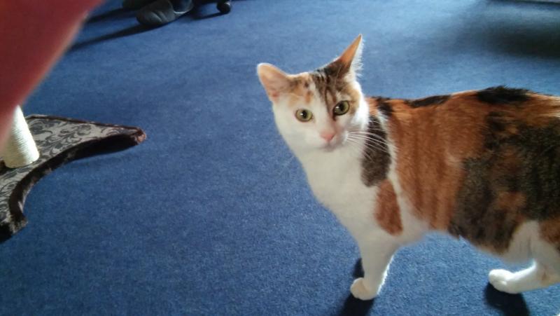 Bin ich nicht schön.