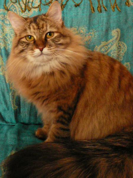 Bin ich nicht schööön