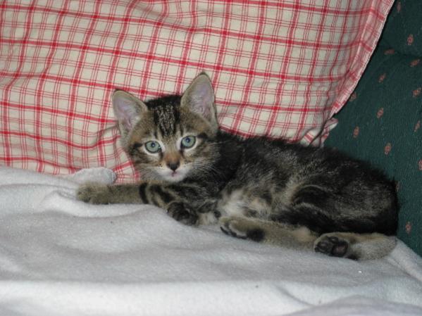 Bin ich nicht süß?