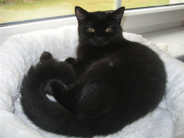 Bin ich nicht wunderschön?