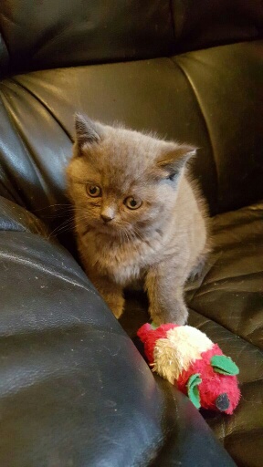 bist du dann fertig mit dem Ding?