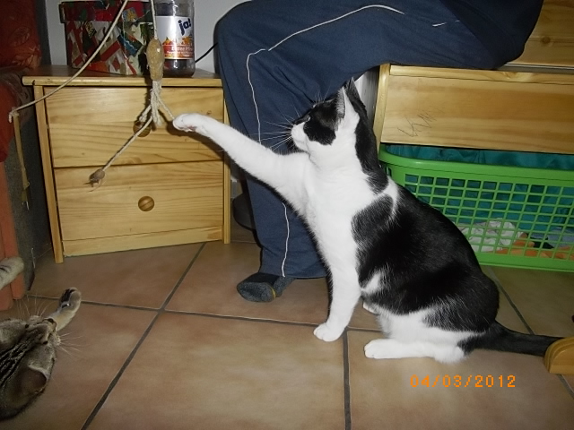 ... bloss nicht bewegen